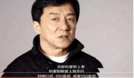 成龙爆料娱乐圈乱,揭秘幕后黑幕与道德沦丧
